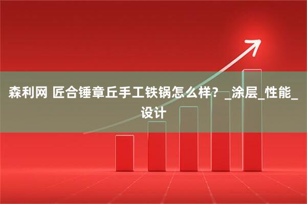 森利网 匠合锤章丘手工铁锅怎么样？_涂层_性能_设计