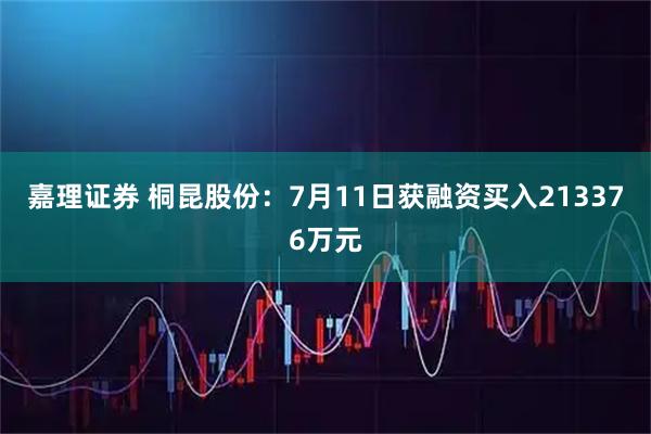 嘉理证券 桐昆股份：7月11日获融资买入213376万元